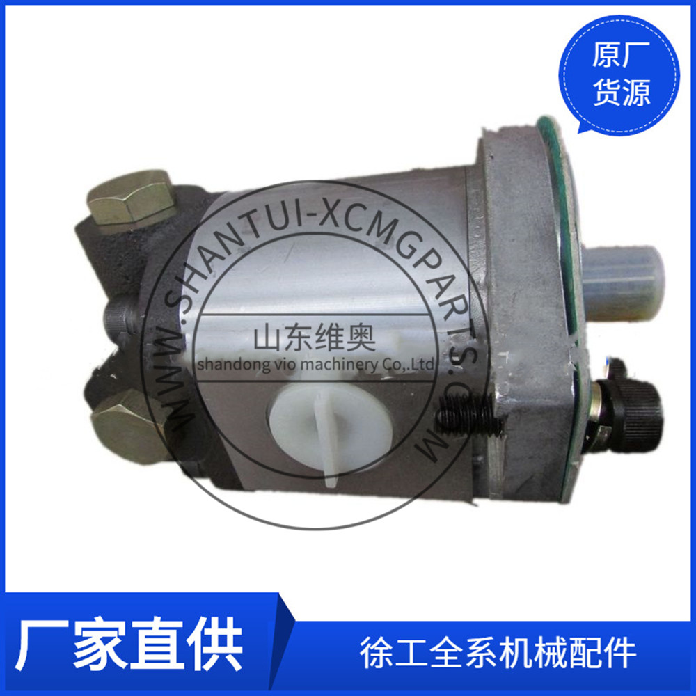 XCMG Truck Crane Steering oil pump 803000065