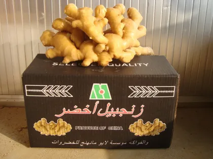 Air Dried Ginger with Global Gap