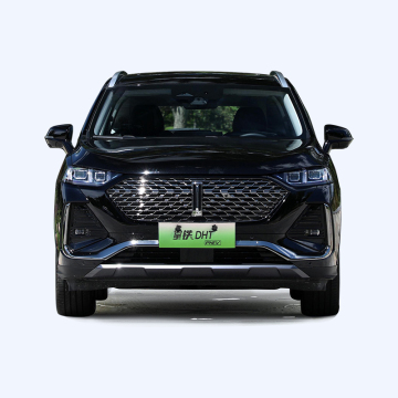 2024 WEY Latte DHT-PHEV: High-Quality Electric Hybrid SUV