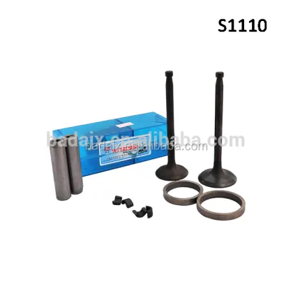 Changfa Diesel Engine S1115 Board Valve Spare Parts