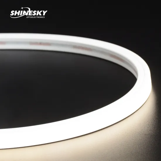 Factory Wholesale Flexible DC24V IP67 Outdoor Silicone Neon Light Strip