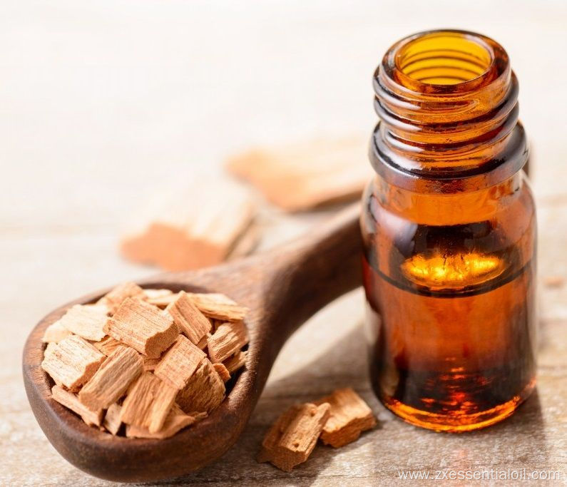 Private label 100% pure sandalwood essential oil bulk