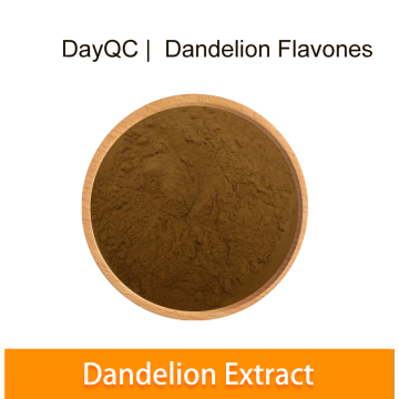 Supply Chinese Herb Flavonoids Dandelion Root Extract Powder