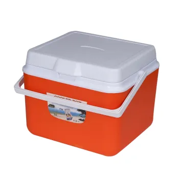Plastic PP Outdoor Picnic 26L EPS Cooler Box with 1000ltr Insulated Ice Pack for 72 Hrs Hold - Pharma Grade