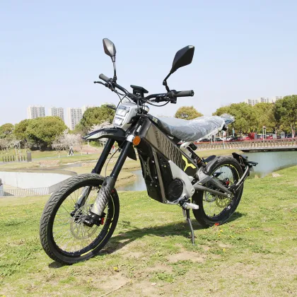2024 New Arrival Talaria X3 Sting E-bike