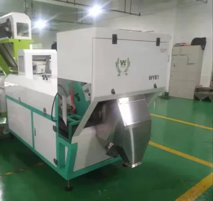 Juniper Fruit Color Sorting Machine for Brown and Green Juniper Processing Line