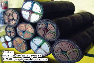 VV Copper Core PVC Insulated PVC Sheathed Power Cable