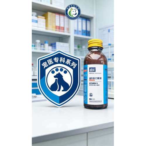 الثيامين دعم مزدوج لصحة الأعصاب والجهاز الهضمي