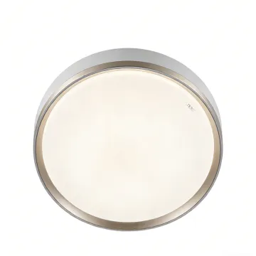 Ultra slim ceiling light LED