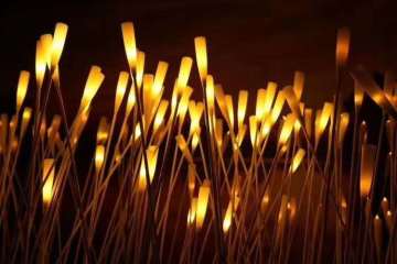 Reed Lights Z Odwróconą Butelką