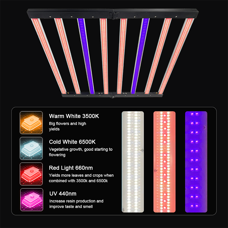 Best Light Spectrum For Rooting Clones