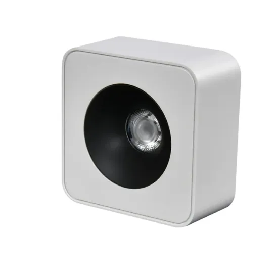 Modern Anti-Glare 12W COB LED Downlight Ceiling Lamp