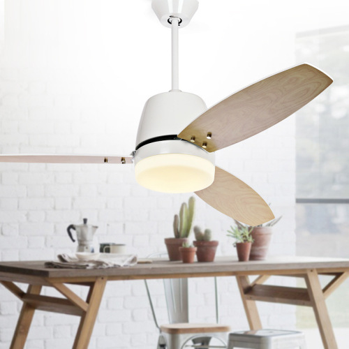 LEDER Electric Ceiling Fan With Lights