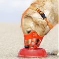 Focinho de cachorro para longos cães de focinho