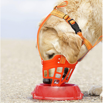 Muso di cane per lunghi cani da muso