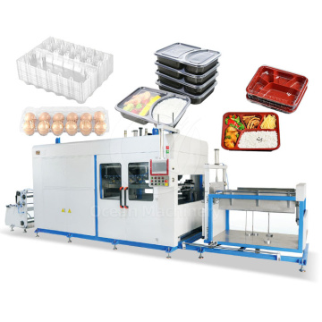 Ocean Plastic Tray Take Away Box Making Machine