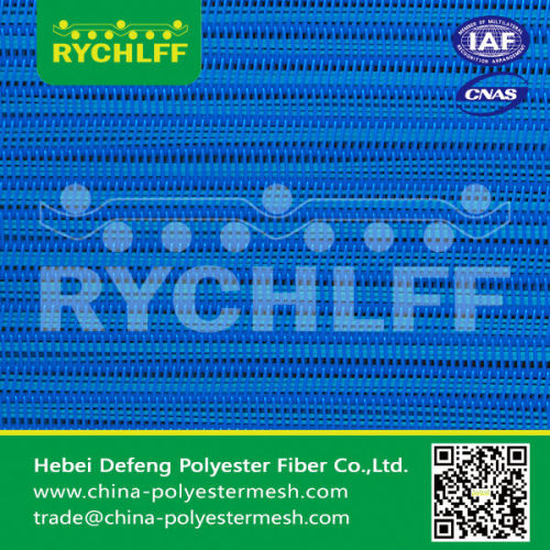 polypropylene filter cloth/paper making endless polyester spiral press filter fabric