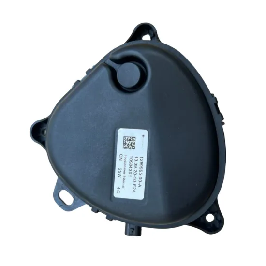 BAINEL Pedestrian Warning Loud Speaker for TESLA Model 3/Y 2019-2021