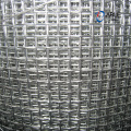 Tela de alambre de alambre tejido de filtro galvanizado con buceo caliente