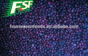 2016 New crop Iqf/frozen blueberry cultivated, frozen blueberry wild