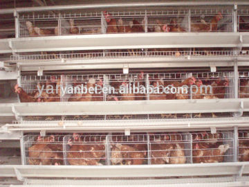 H-type Multi-tier Hot Galvanized Chicken Coop Equipment for Layer