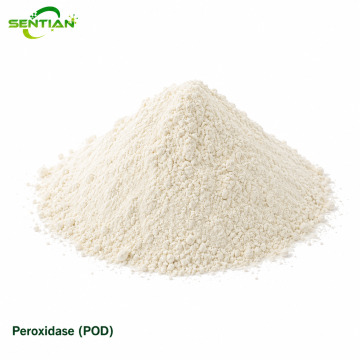 Peroxidase POD Enzyme for Plant Stress & Lignin Synthesis