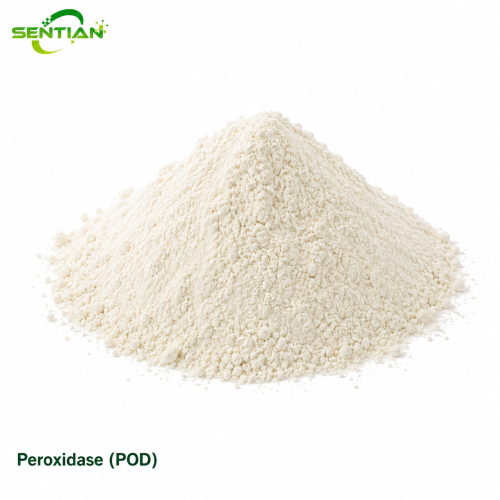 Peroxidase POD Enzyme for Plant Stress & Lignin Synthesis