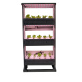 /msite/products/detail/productid/57284381/id/537503.html