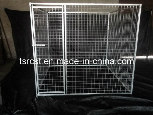 Hot DIP Galvanized Square Tube Dog Cage