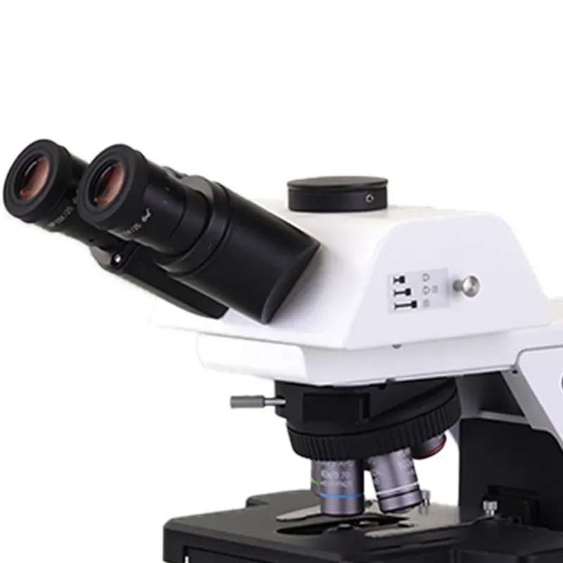 Brs1000 Series Biological Research Microscope