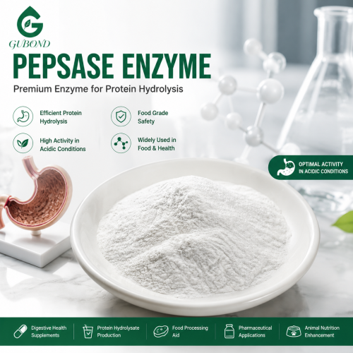 Polvo de enzima pepsina para aplicaciones de hidrólisis de proteínas y suplementos digestivos