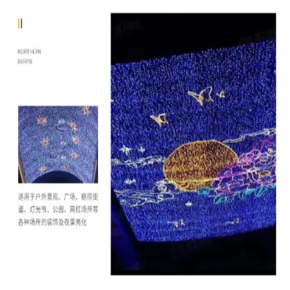 Wedding Decoration Sky Curtain Lights