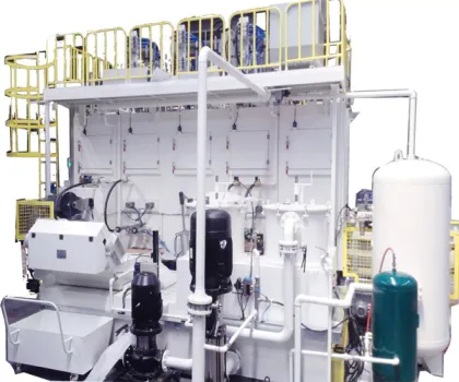 Rust removal washing device