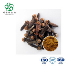 순수한 syzygium aromaticum clove 추출물