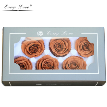 Wholesale A Grade Agate Color Preserved Roses Buds - Every Love