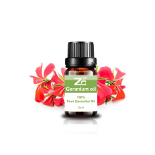 Factory Supply Natural Geranium Essential Oil for Skincare