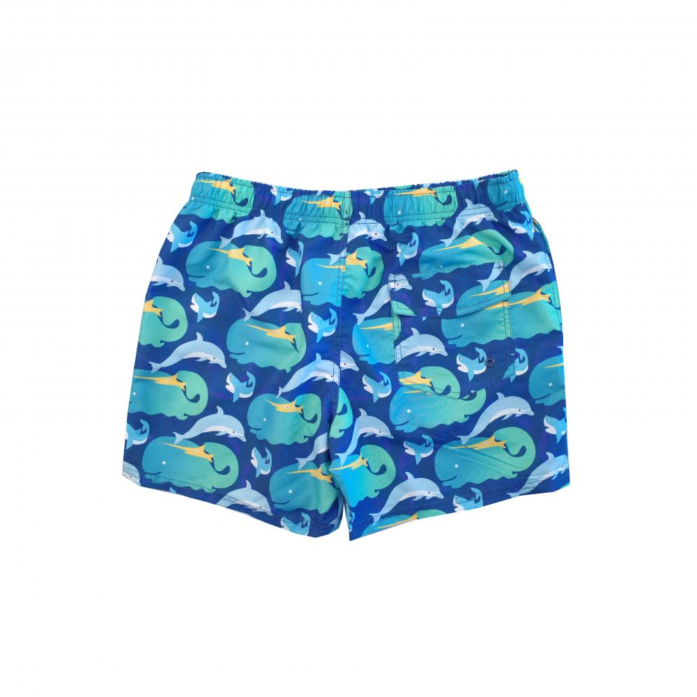 Men S Beachwear Shorts Jpg