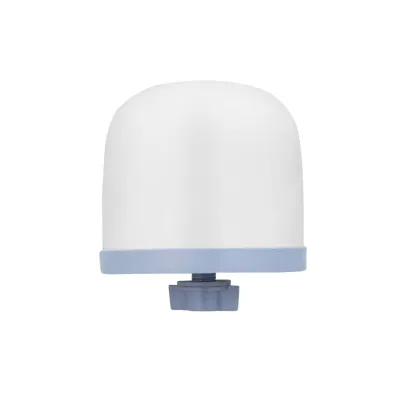 Dome Ceramic filter