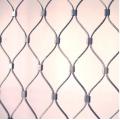 /msite/products/detail/productid/57315226/id/658454.html