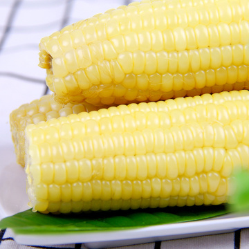 Cobs di mais cereosi dolci bianchi