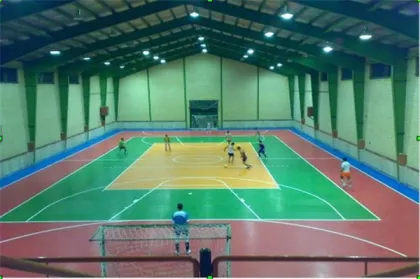 Silicon PU stadium field