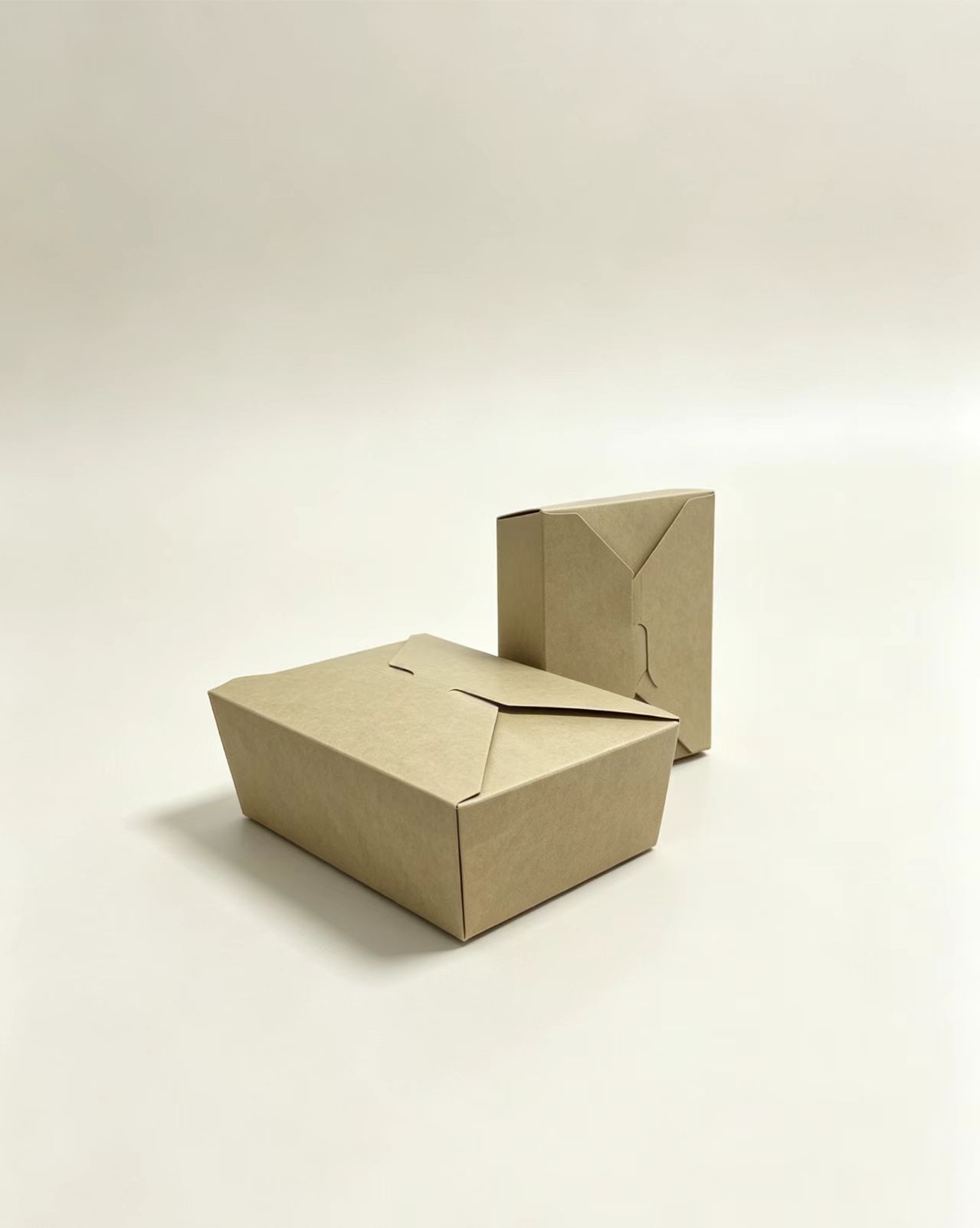 Takeout Box with Lid