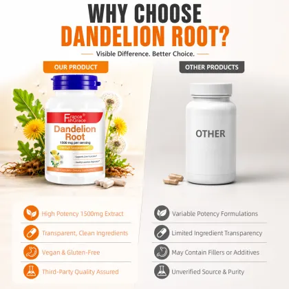 Shecome Dandelion Supplement Supports Liver Function Healthy