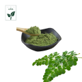 High quality Moringa Powder