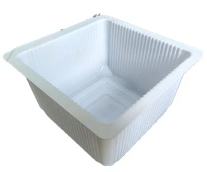 disposable plastic blister tray