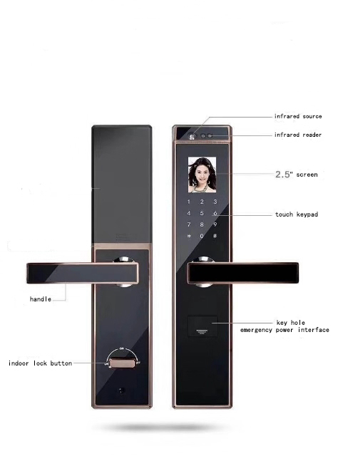 EVDN5 Face recognition intelligent lock