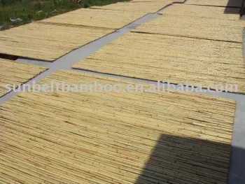 Bamboo fence Sun-017