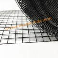 6 "x100 'الأسود PVC Squirrel Guard Steel Wire Mesh