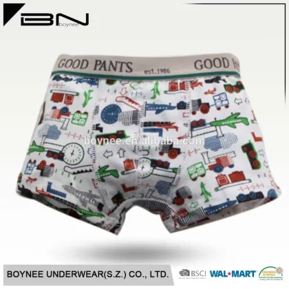2016 OEM Good Quality Children Thongs Underwear Of Boys Underwear Manufacture