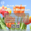 XiamenからRotterdamへの海洋貨物